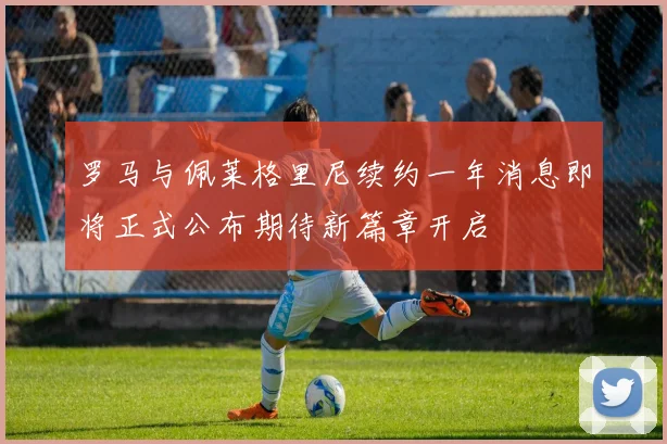 罗马与佩莱格里尼续约一年消息即将正式公布期待新篇章开启
