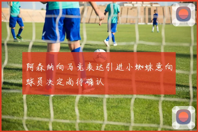阿森纳向马竞表达引进小蜘蛛意向球员决定尚待确认