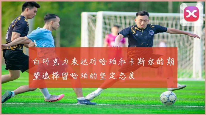 白巧克力表达对哈珀和卡斯尔的期望选择留哈珀的坚定态度